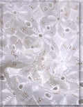 high quality georgette eyelet embroidered fabric fashion use