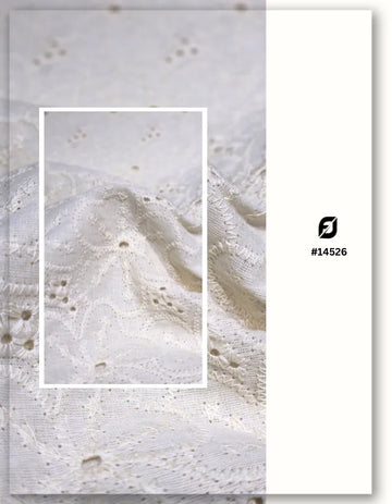 Stylish Cotton Lace Hakoba Embroidery Fabric