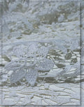 White Lace Fabric for Wedding & Bridal Dresses