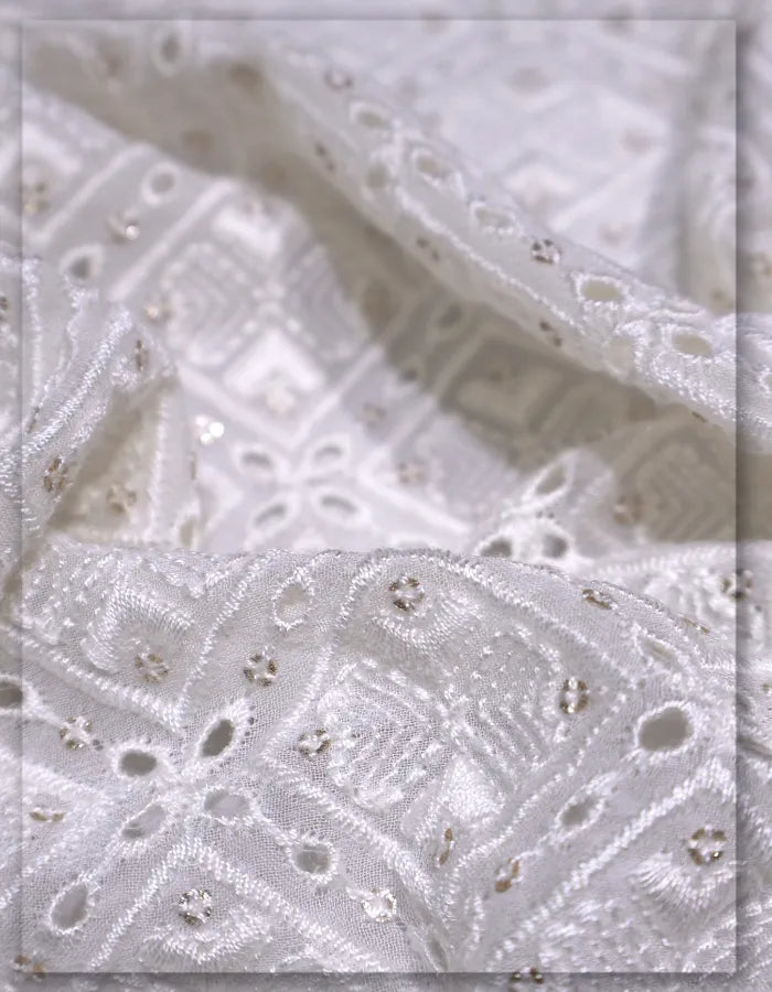 embroidered georgette schiffli fabric for luxury dresses