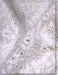high end georgette schiffli fabric couture fashion