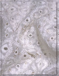 premium embroidered georgette fabric for arabian dresses