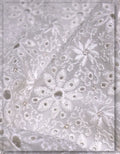 traditional georgette embroidery fabric premium finish