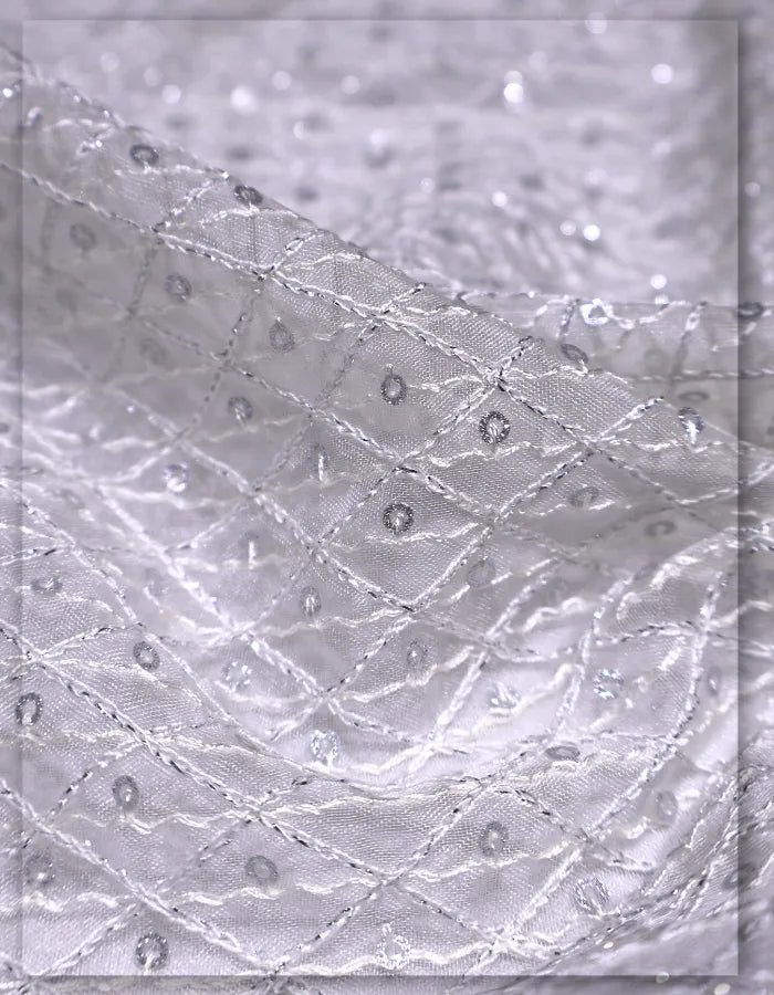 Nylon Organza Embroidered Lace Fabric for Dresses - 9864