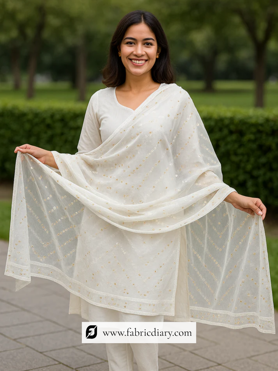 Beautiful Embroidered Dyeable Dupatta