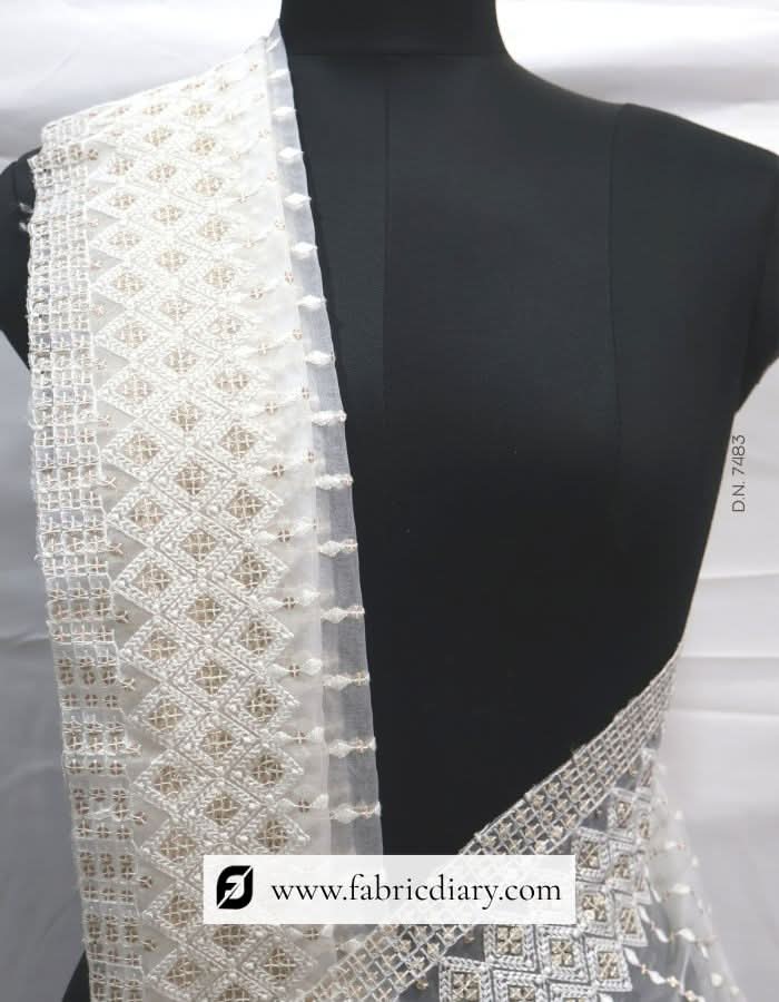 Buy nylon organza dupatta – Lucknowi design for suits and gowns