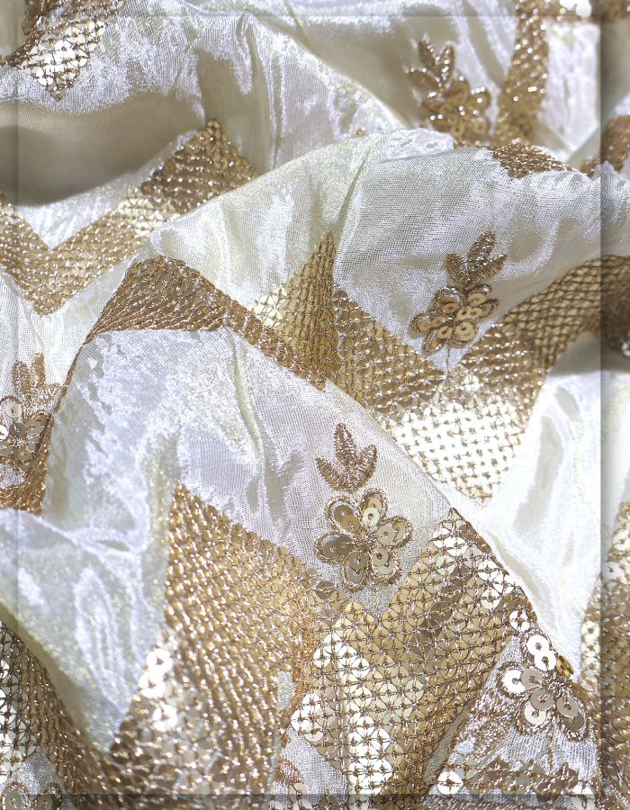 Tissue Gold Zari Work Daman Fabric for Partywear-13626