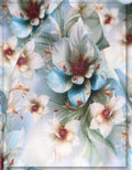 premium Gucci floral silk fabric for designer outfit women